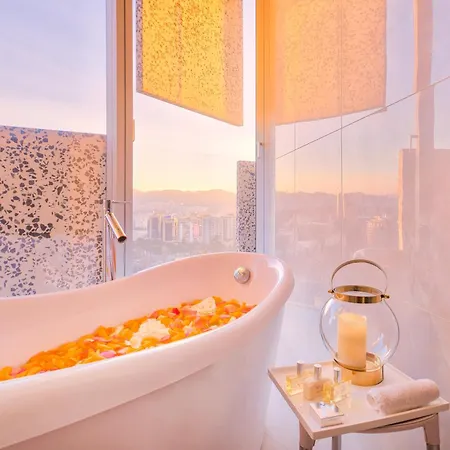 Hotel Maritim Plaza 5*